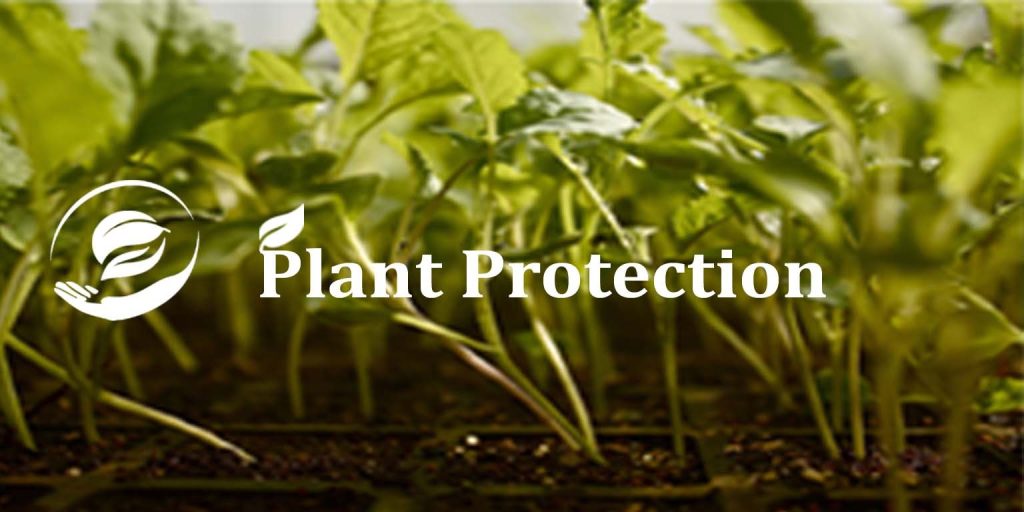 Plant Protection Canadian Vocational and ICT Academy Inc